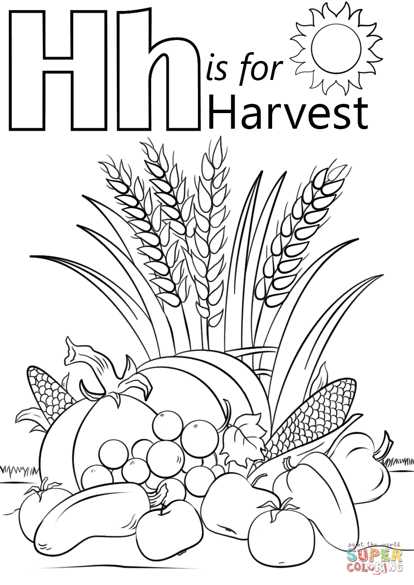 Letter H is for Harvest Coloring Page
