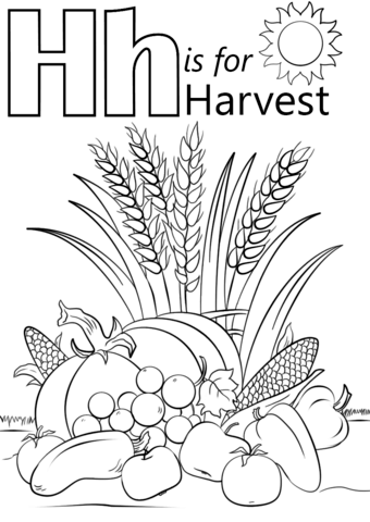Letter H is for Harvest Coloring Pages