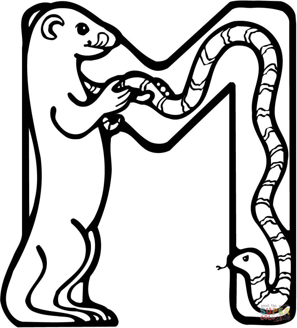 Letter M Is For Meerkat Coloring Pages
