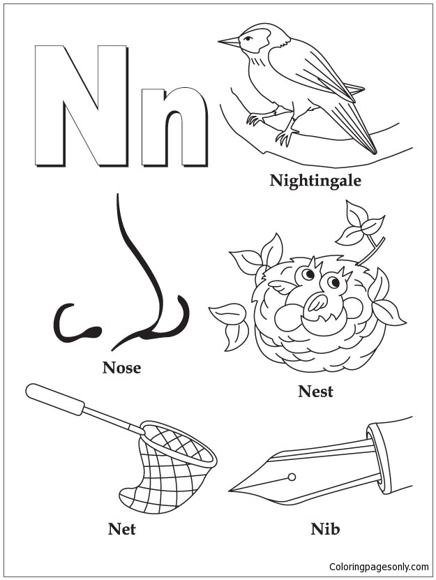 Letter N For Nightingale Image Free Coloring Pages