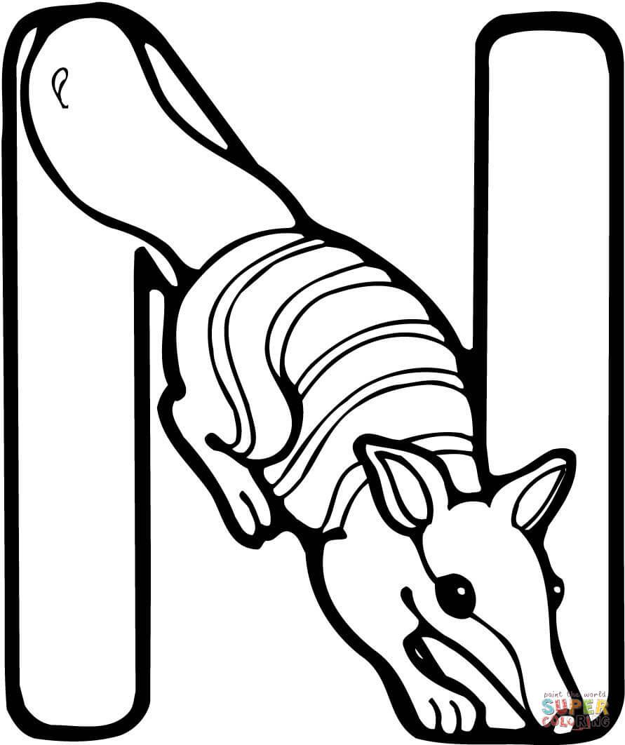 Letter N Is For Numbat Coloring Pages