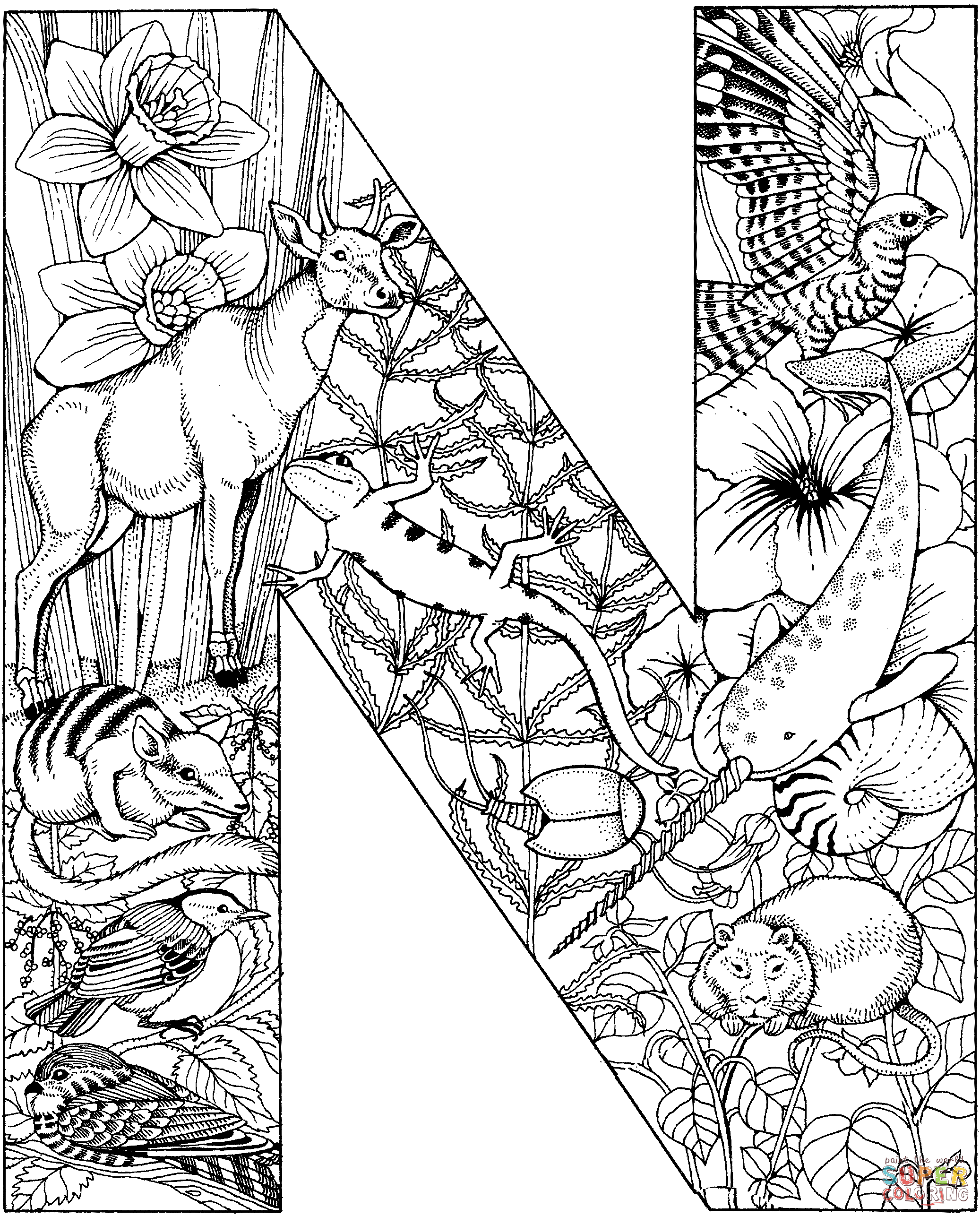 Letter N With Animals Coloring Pages