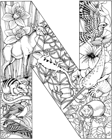 Letter N with Animals Coloring Page