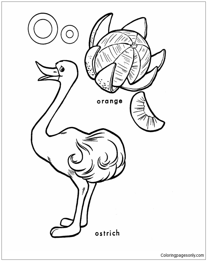 Letter O Is For Octopus Coloring Page Thanksgiving Pages Sheets Worksheets Preschool Pdf Printable Slavyanka