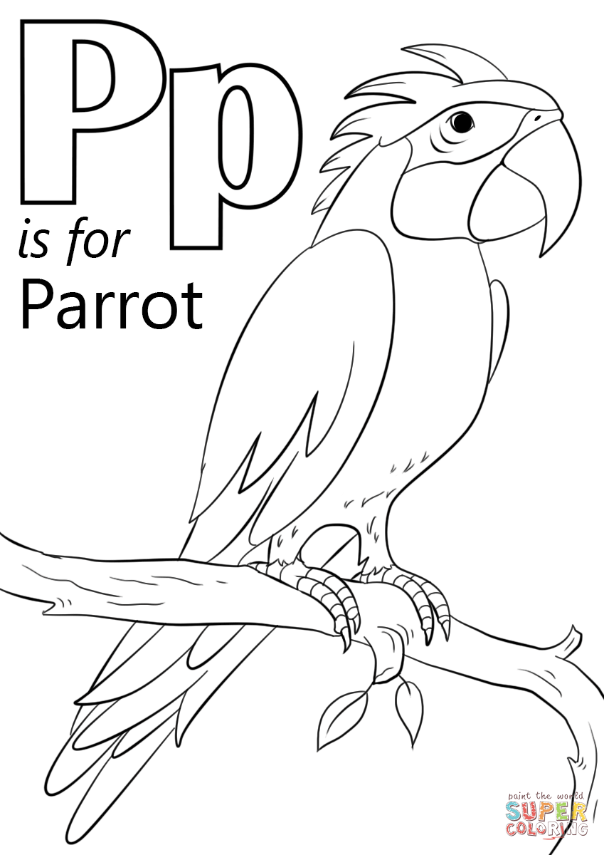 Buchstabe P steht für Papagei aus Buchstabe P