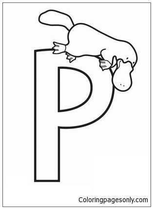 Letter P is voor Vogelbekdier uit Letter P