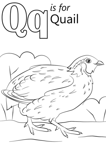 Letter Q is for Quail Coloring Page