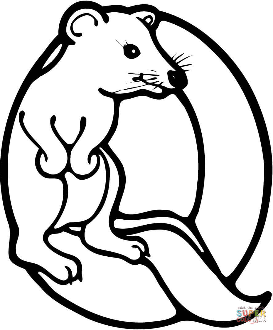 Letter Q is for Quokka Coloring Pages