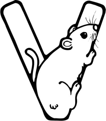 Letter V is for Vole Rodent Coloring Page