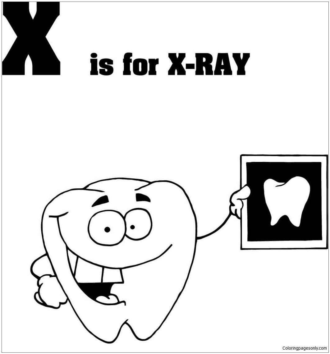 حرف X هو لـ X Ray من حرف X