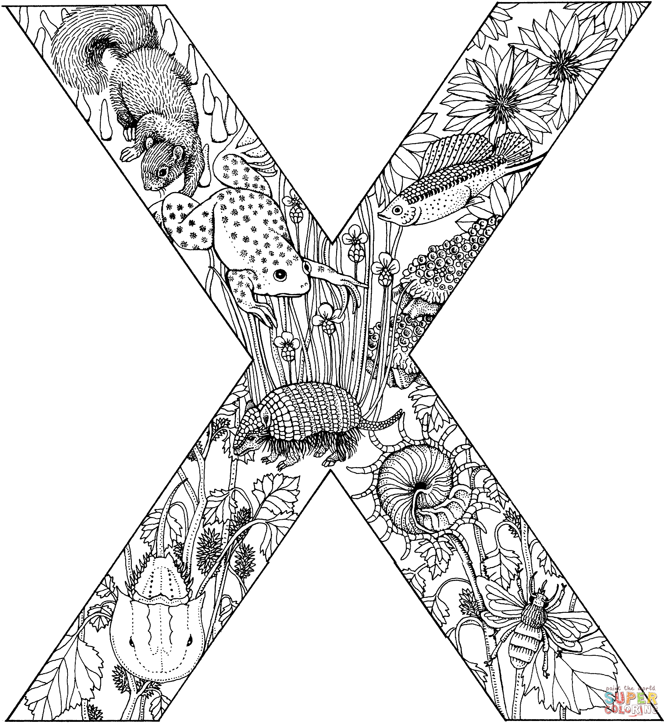 Lettre X avec des animaux de la lettre X