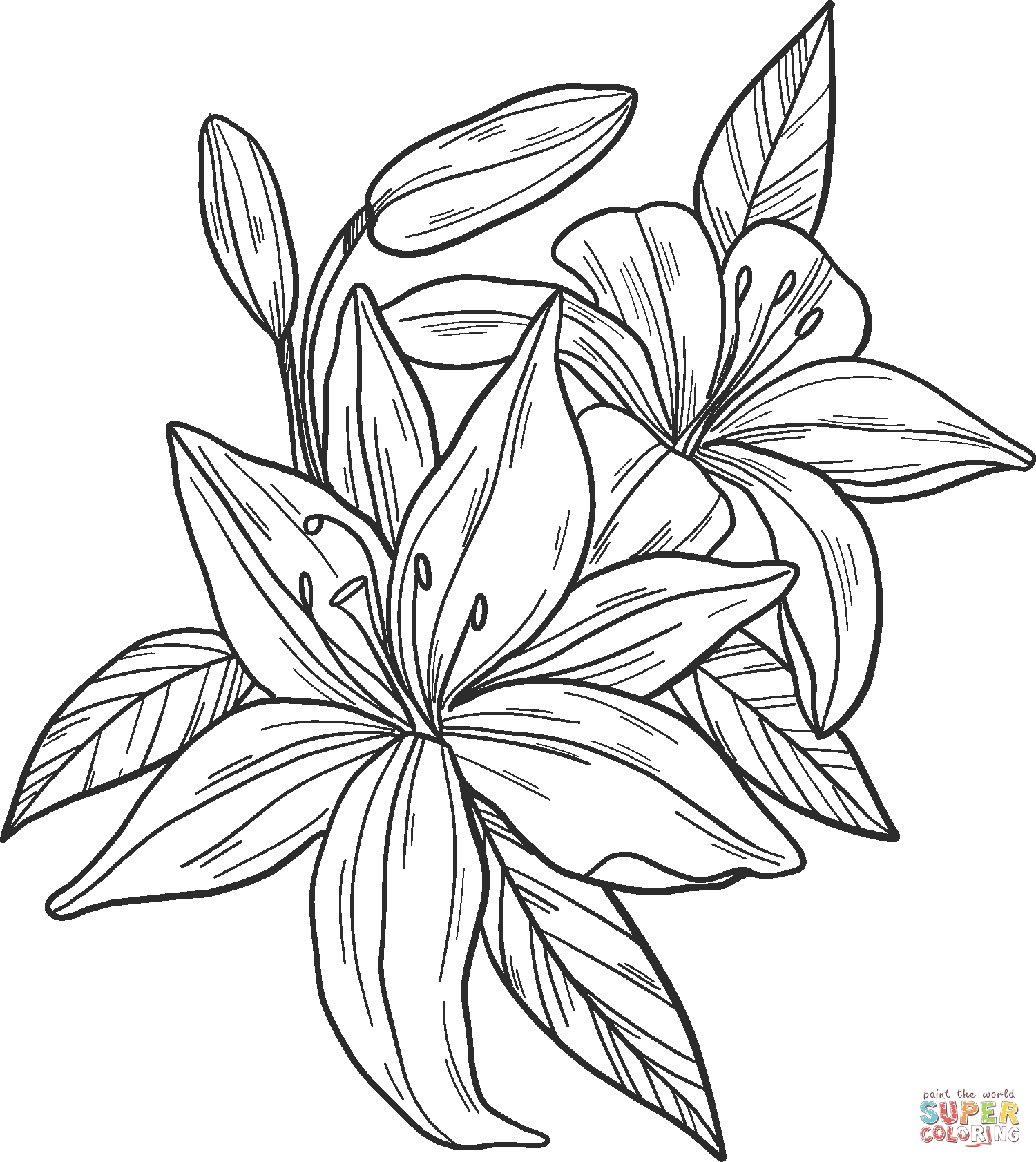 free printable star lily unicorn coloring pages