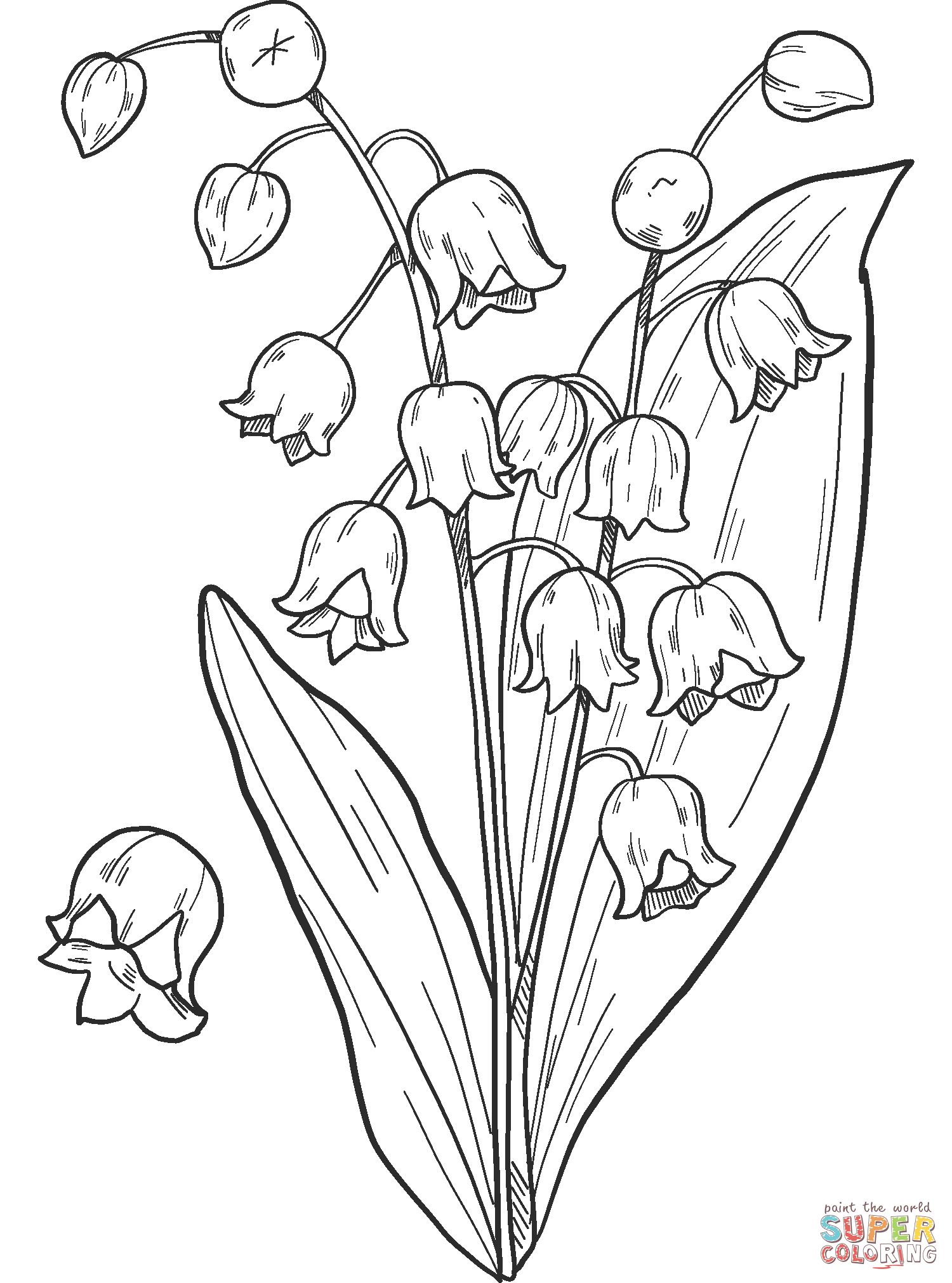 Printable Lily of the Valley Coloring Page