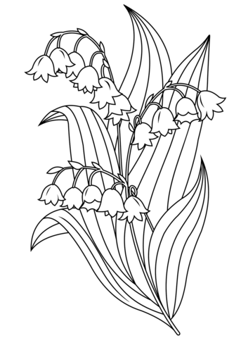 Lily of the Valley Coloring Pages