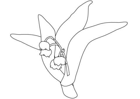 Lily Of The Valley Coloring Pages