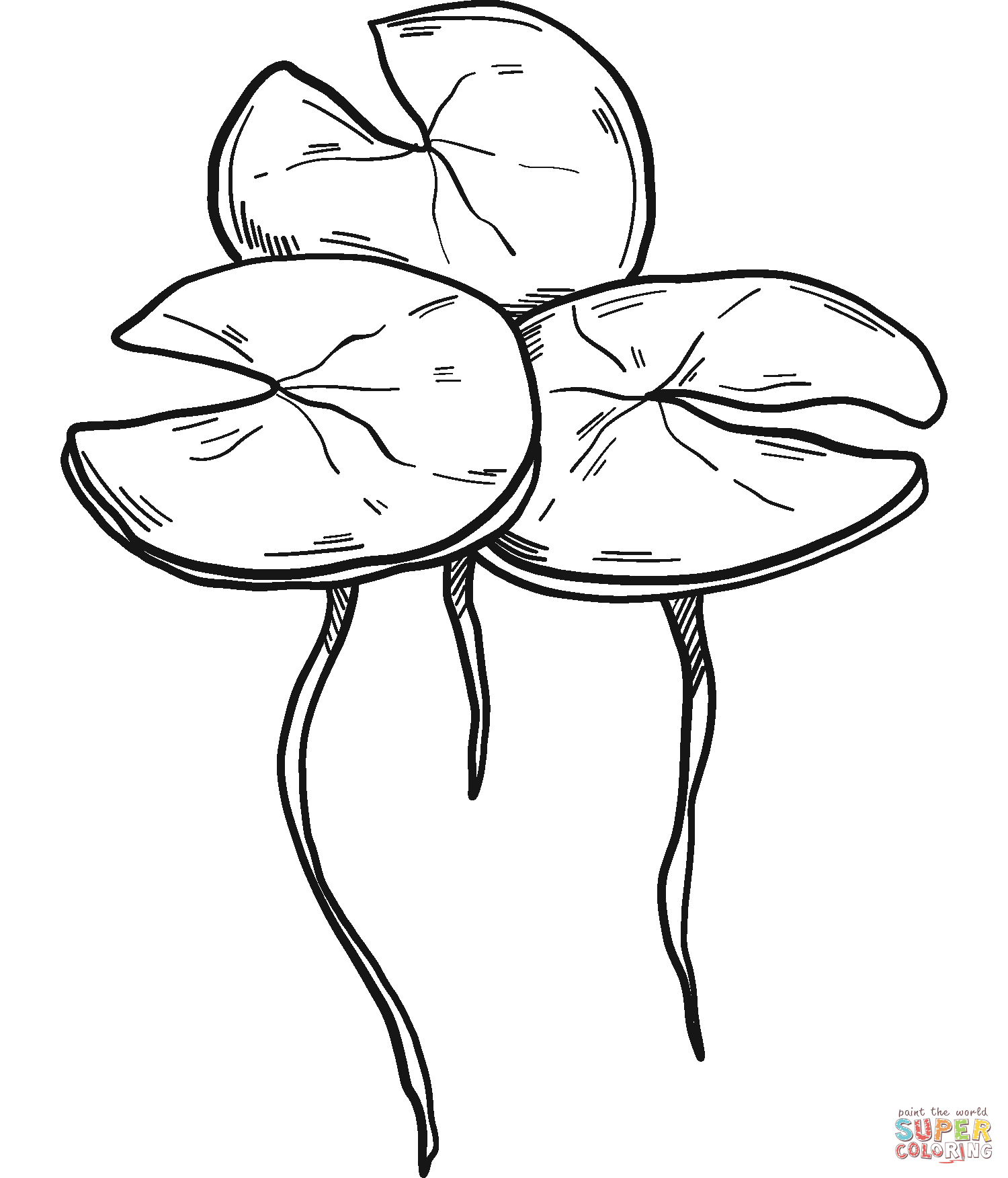 Lelieblaadjes van Water Lily