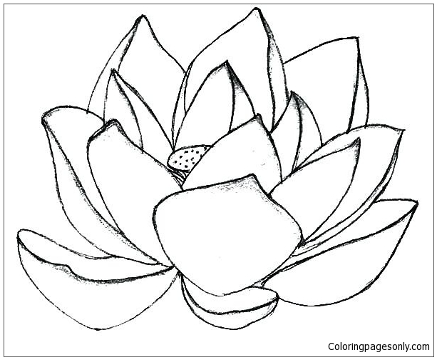 Lotus Flower Mandala 2 Coloring Page