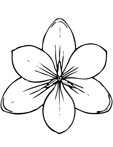 Magnolia Coloring Page