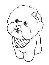 Maltese Dog Puppy Coloring Page