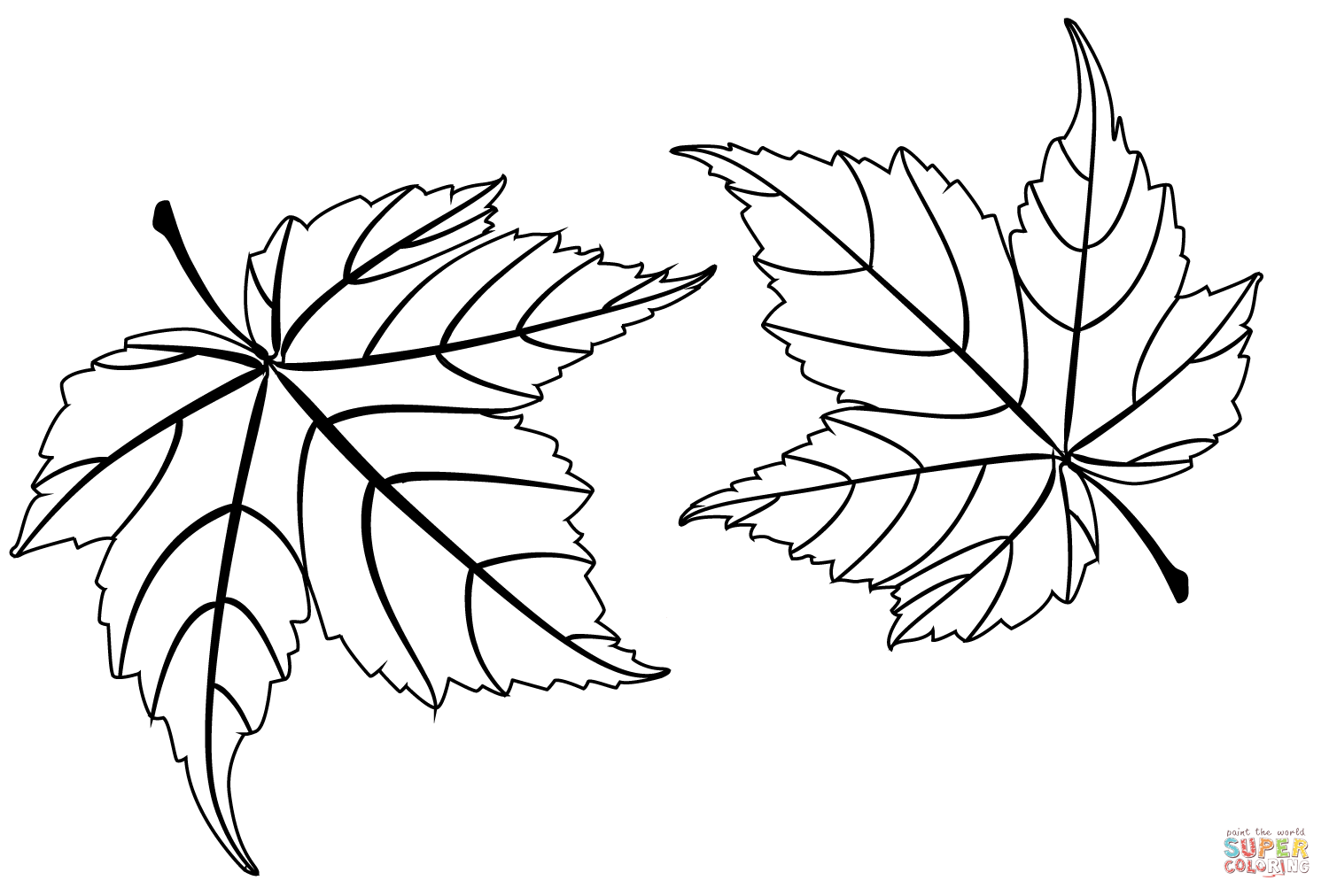 Ahornblätter vom Herbst