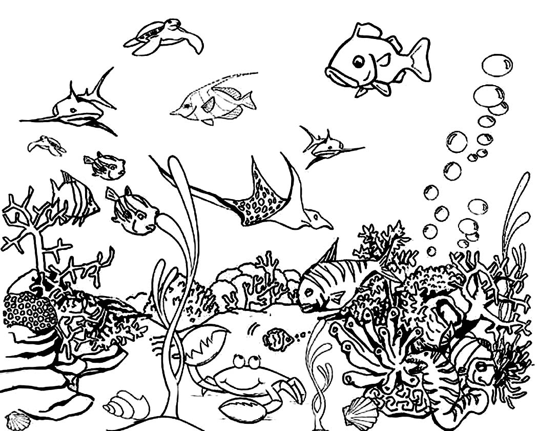 Marine Life Under The Sea Coloring Pages