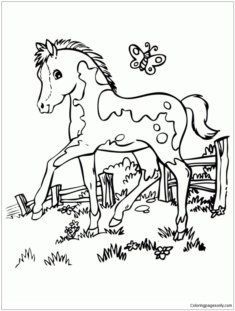 Marvelous Cute Horse Coloring Page