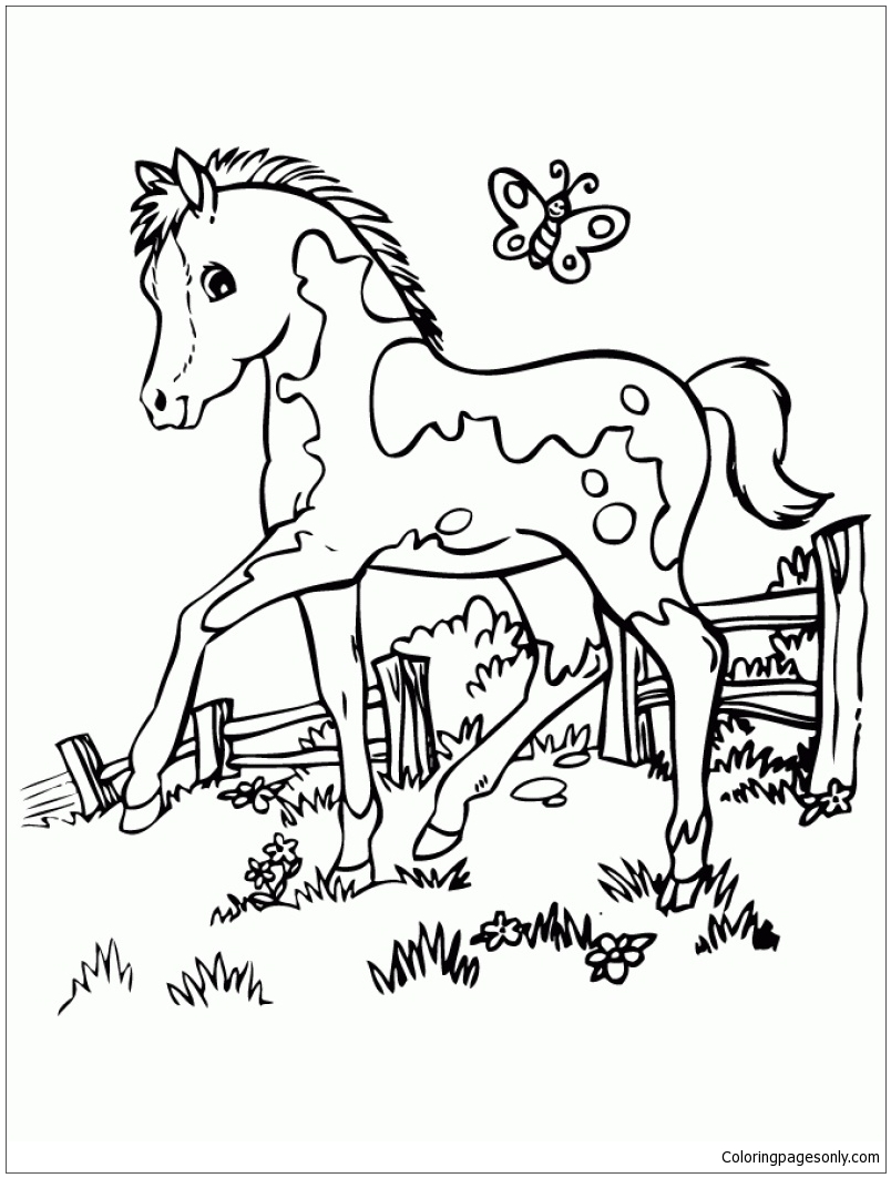 Cute Baby Horse Coloring Page Outline Sketch Drawings Printables 