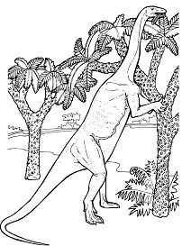 Massospondylus Prosauropod Jurassic Coloring Pages