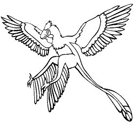 Download Archaeopteryx Coloring Pages - Dinosaurs Coloring Pages - Free Printable Coloring Pages Online