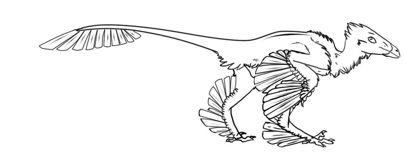 Desenho para colorir de linhas livres de dinossauros Microraptor Archaeopteryx