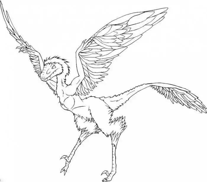 Desenho para colorir de dinossauro Microraptor Archaeopteryx