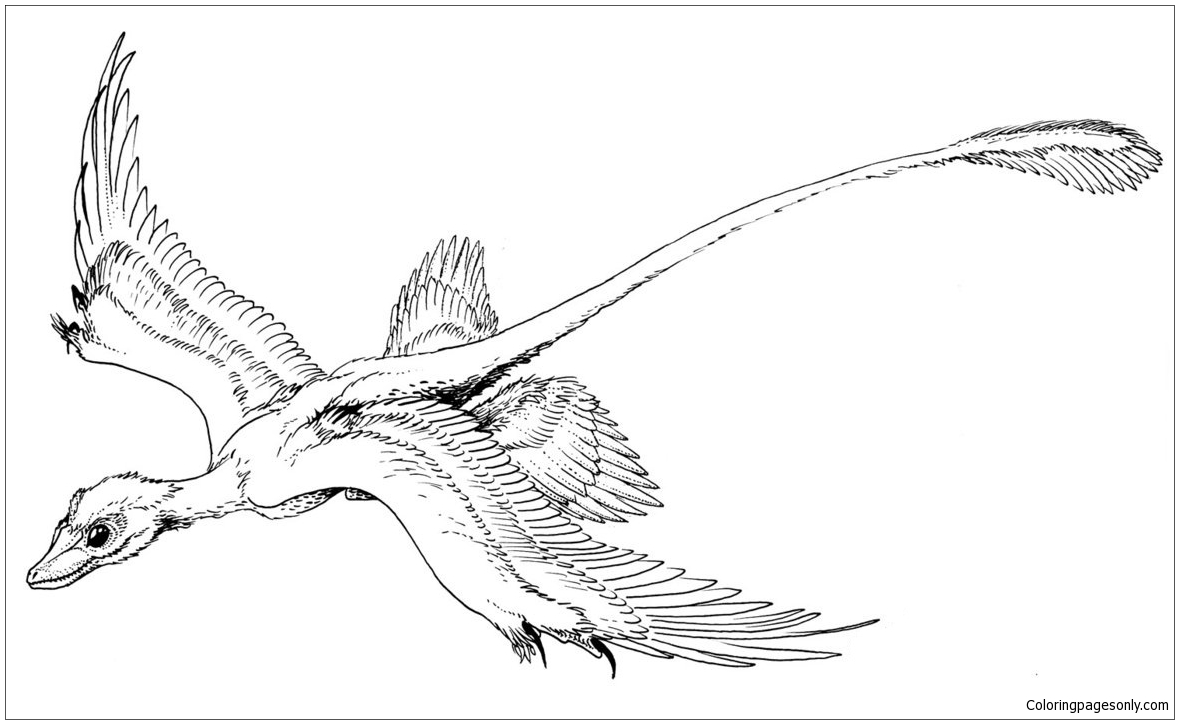 Microraptor Gliding Coloring Pages - Dinosaurs Coloring Pages - Free