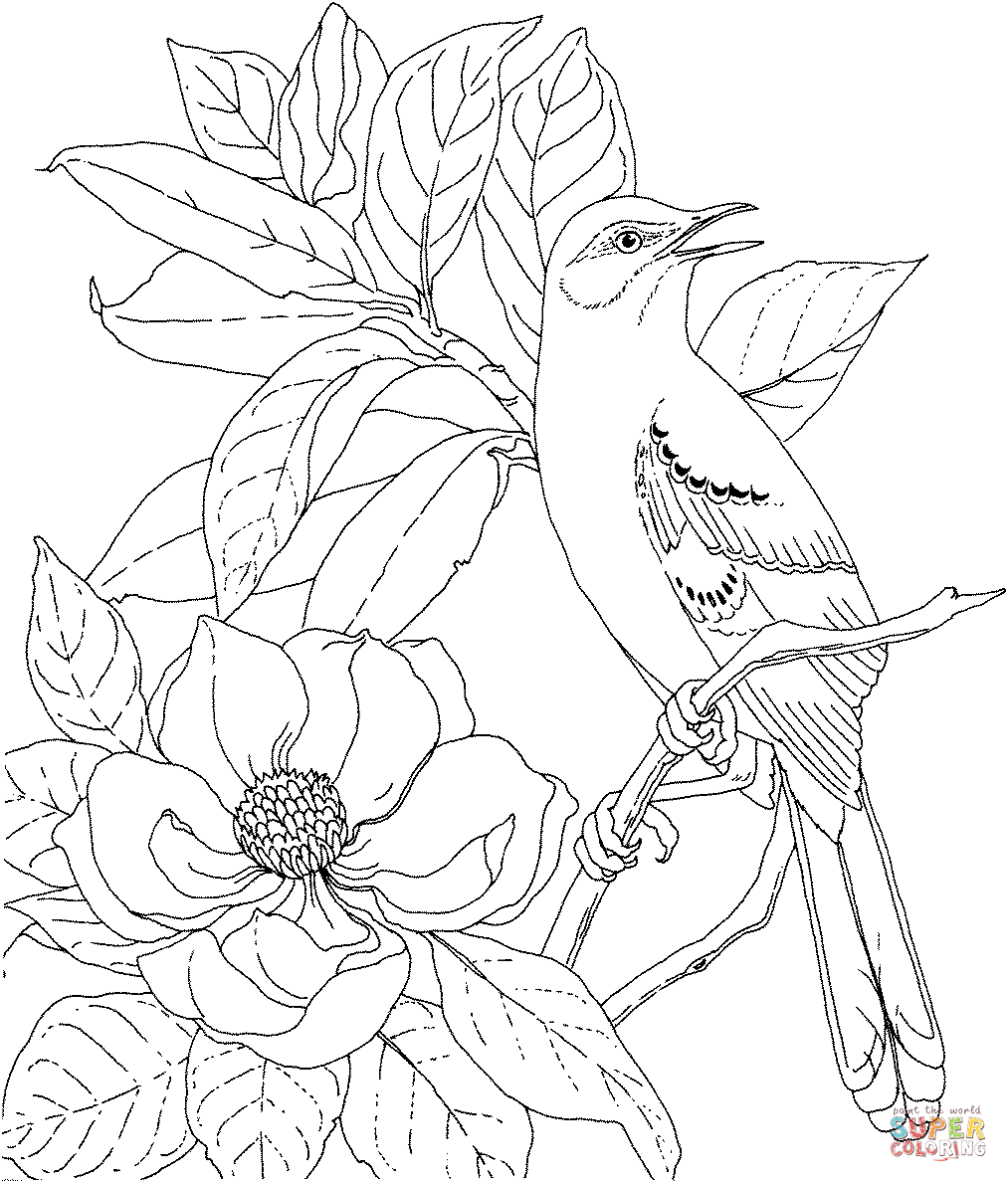 Mockingbird and Magnolia Mississippi State Bird and Flower Coloring Page