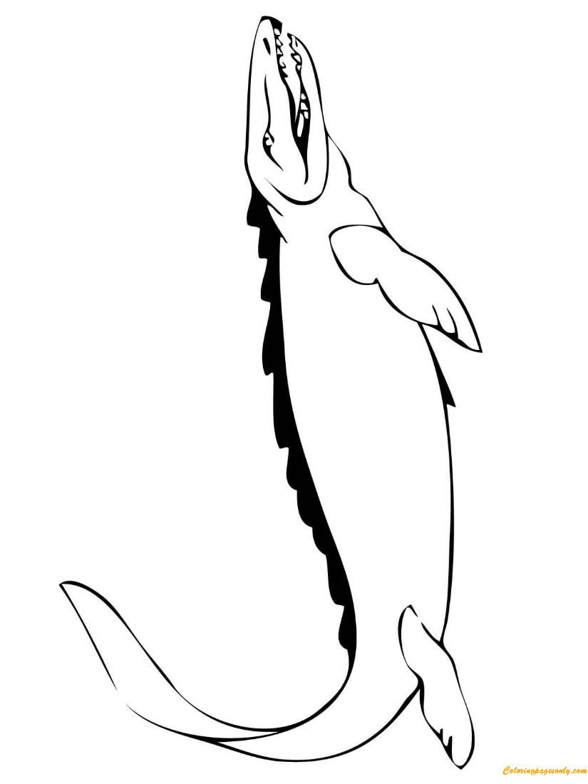 Mosasaur Marine Reptile Of Early Cretaceous Coloring Page