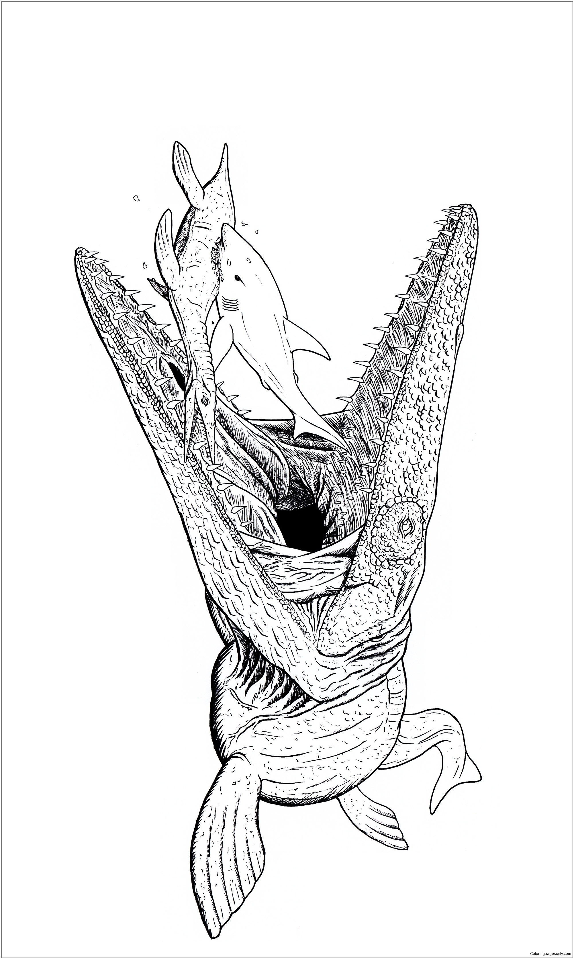 Mosasaurus Dinosaur Coloring Pages - Coloring and Drawing