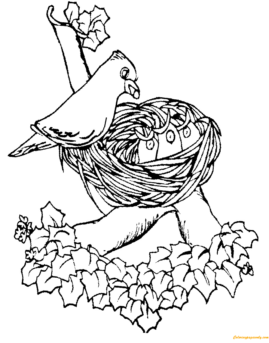 Download Mother Bird Feeding Cute Baby In The Nest Coloring Pages ...