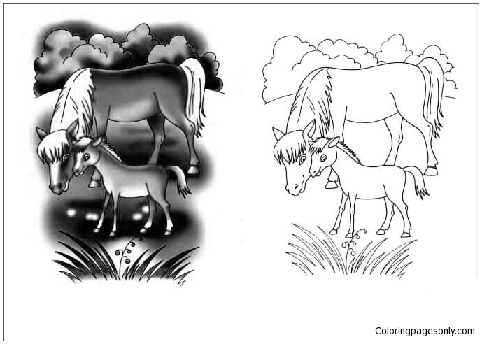 Moederpaard en veulen van paard