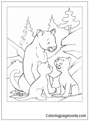 Mountain Lions Coloring Pages
