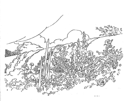 Mountain Trees Coloring Pages