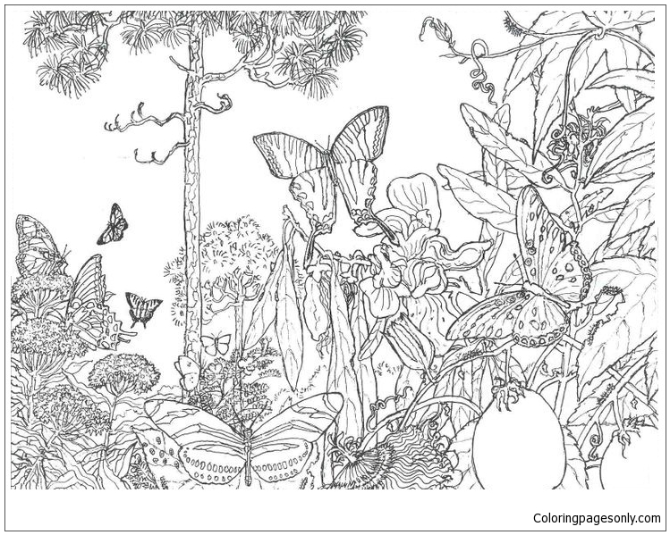 Natural Forest Landscape Coloring Pages - Forest Coloring Pages