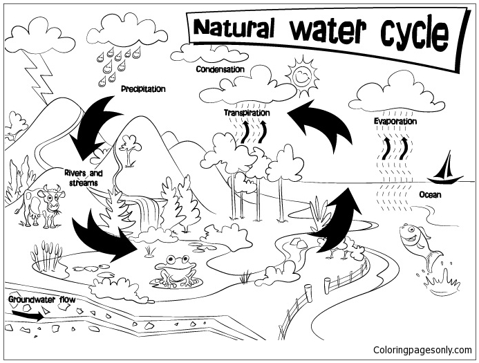 Ciclo naturale dell'acqua dai fenomeni naturali