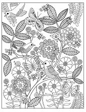 Nature Garden Coloring Page