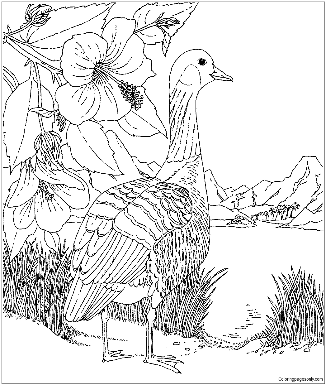 Nene et Hibiscus Hawaii State Bird and Flower Coloring Page