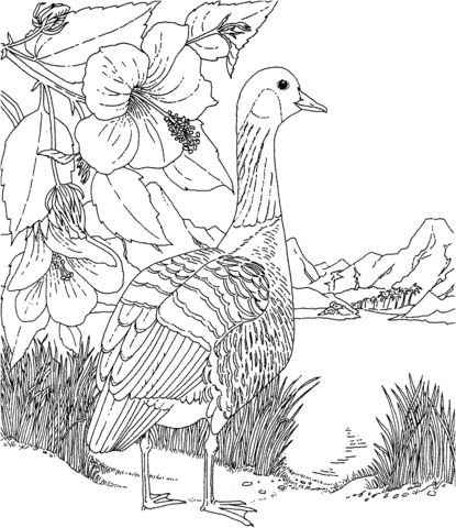 Nene and Hibiscus Hawaii State Bird and Flower Coloring Page