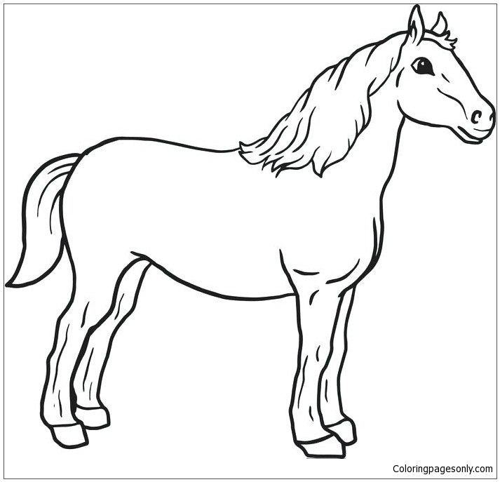 Joli cheval 1 de Horse