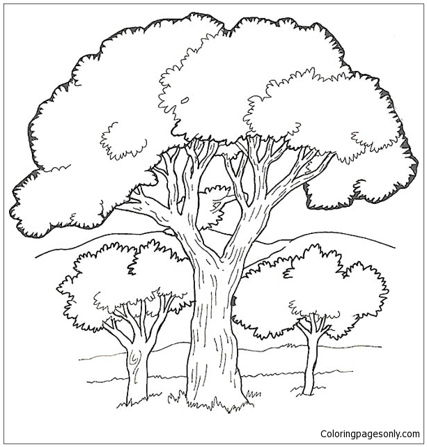Oak Tree in the Forest Coloring Pages