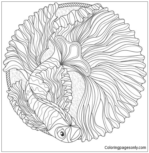 Featured image of post Summer Mandala Coloring Pages - Is your first grader looking for a meaningful coloring page?