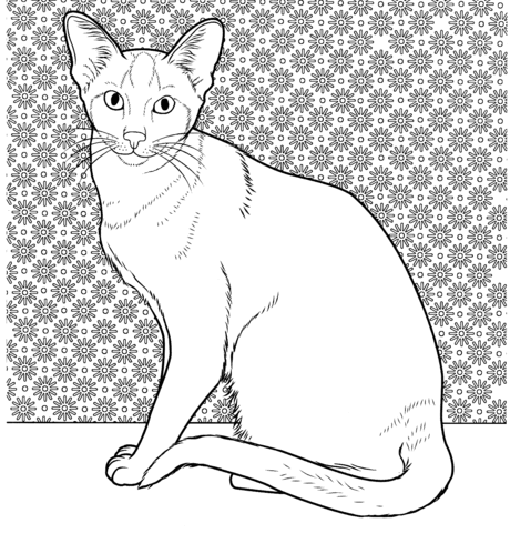 Oriental Siamese Cat Coloring Page