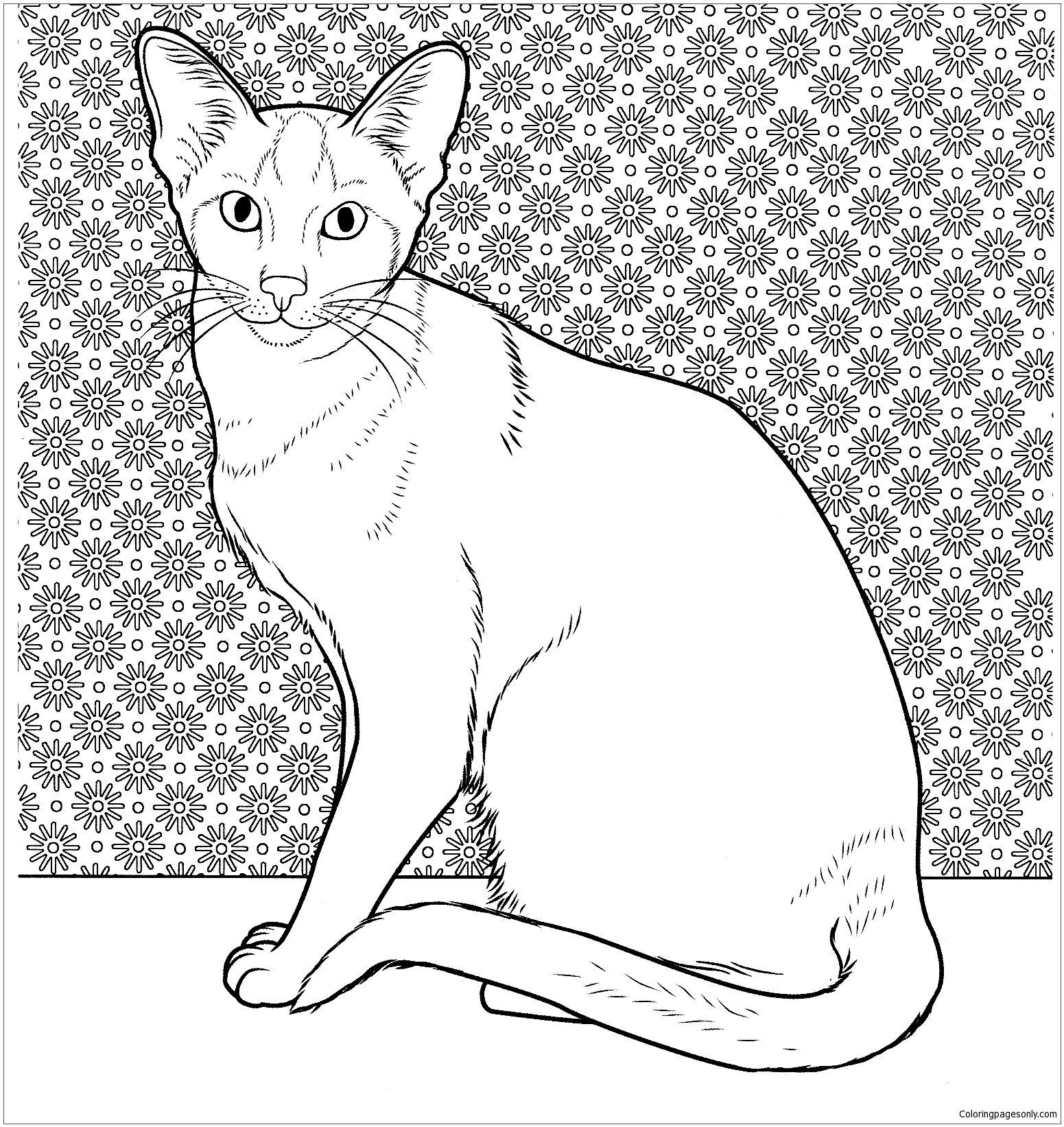 Oriental Siamese Cat Coloring Page - Free Coloring Pages Online