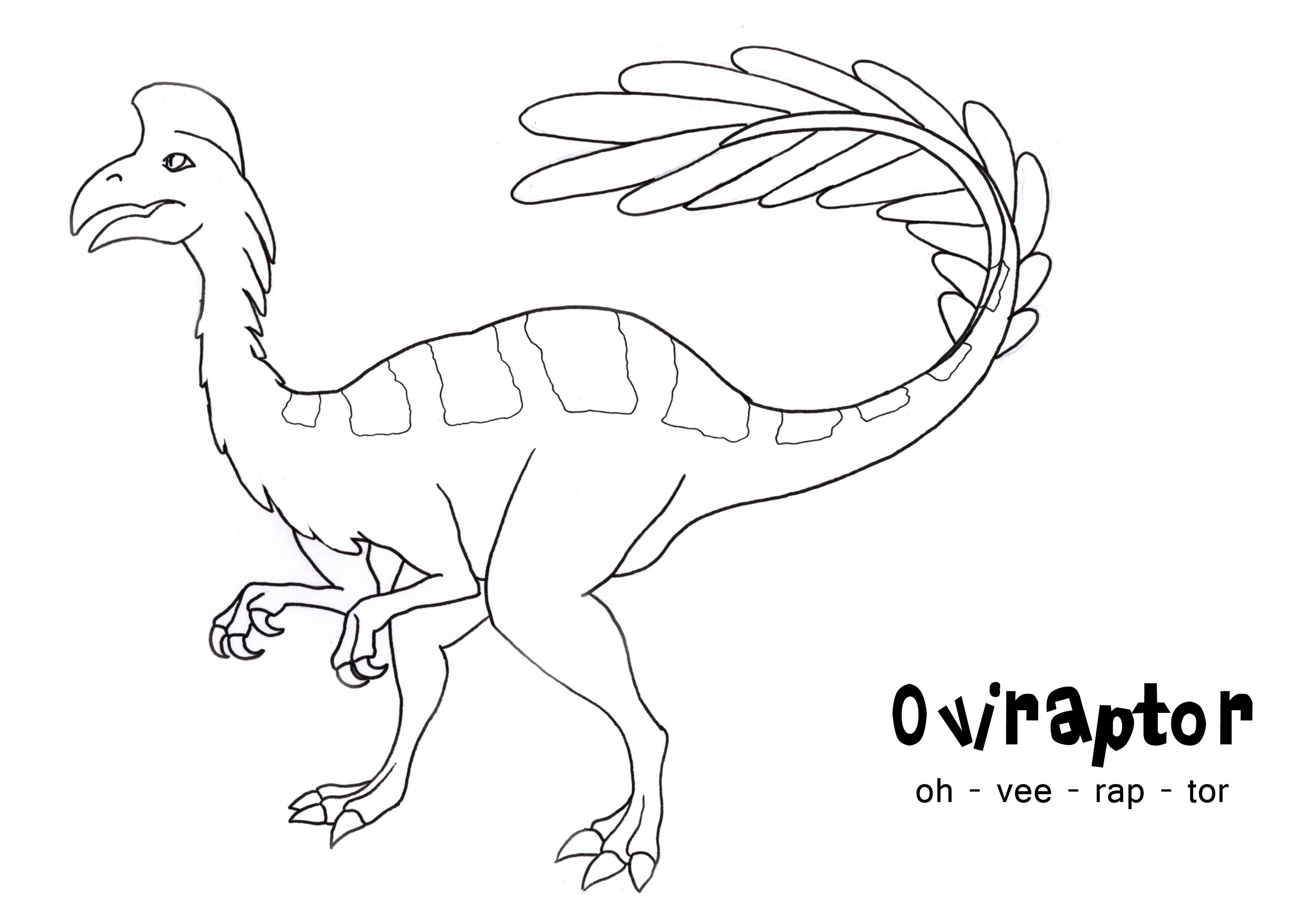 Oviraptor is genus of feather dinosaur of Archaeopteryx type from Archaeopteryx
